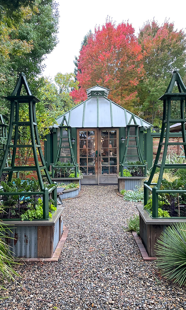 Fall colors light up the pavilion.